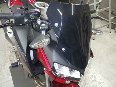 Kawasaki Z250 2019