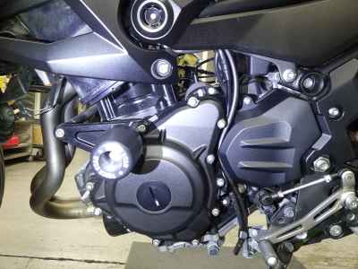 Kawasaki Z250 2019