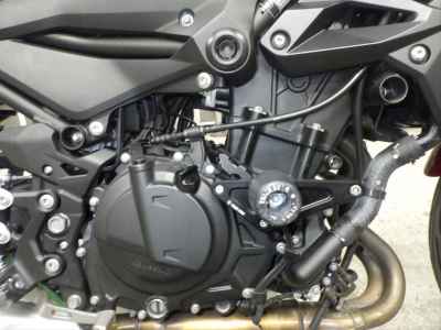 Kawasaki Z250 2019