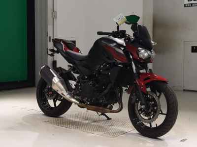 Kawasaki Z250 2019