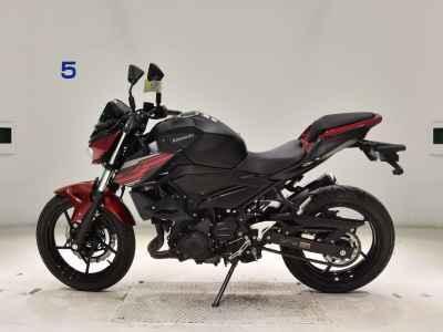 Kawasaki Z250 2019