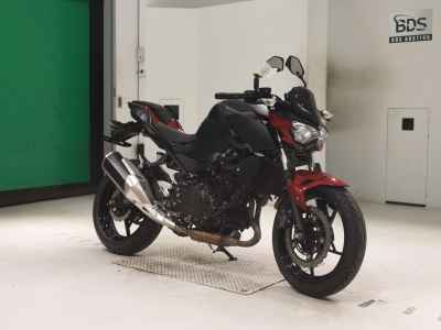 Kawasaki Z250 2019