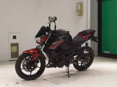 Kawasaki Z250 2019