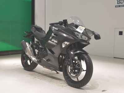 Kawasaki Ninja 250 2021