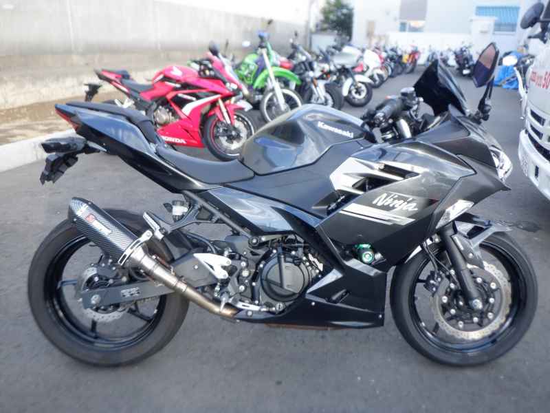 Kawasaki Ninja 250 2021