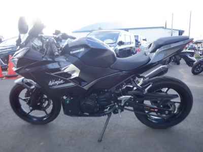 Kawasaki Ninja 250 2021