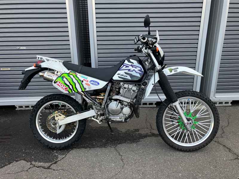 Suzuki DR250