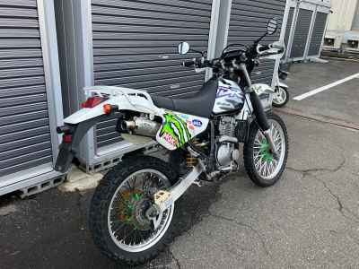 Suzuki DR250