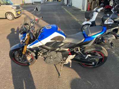 Suzuki  2015