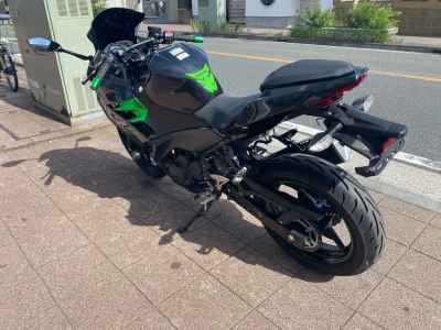 Kawasaki Ninja 250 2023