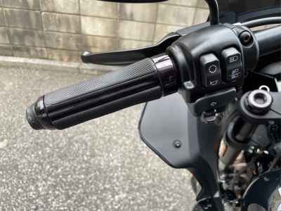 Harley-Davidson FXLRST1920 2022