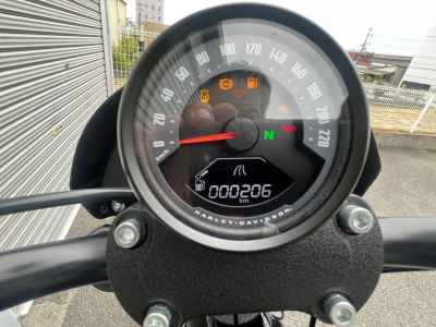 Harley-Davidson FXLRS 2025