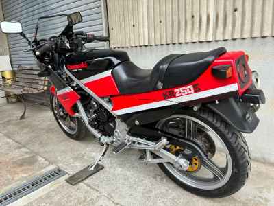 Kawasaki KR250S