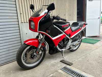 Kawasaki KR250S