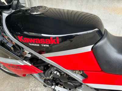 Kawasaki KR250S