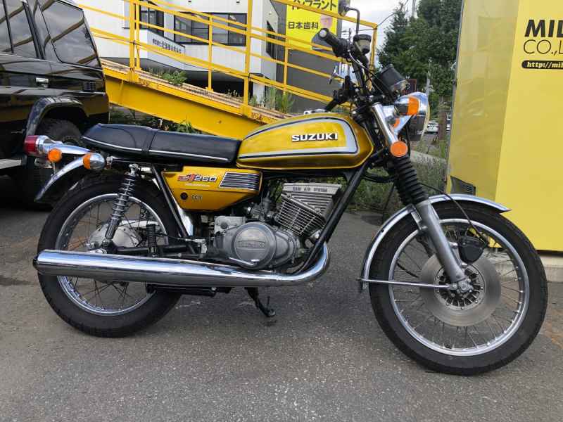 Suzuki GT250