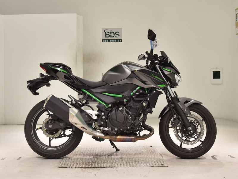 Kawasaki Z250 2024