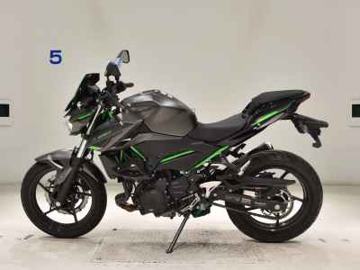 Kawasaki Z250 2024