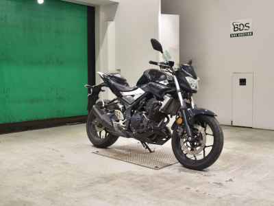 Yamaha MT-25