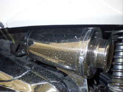 Honda Forza Z
