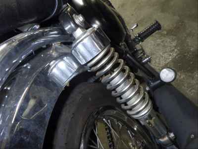 Kawasaki Estrella 2007