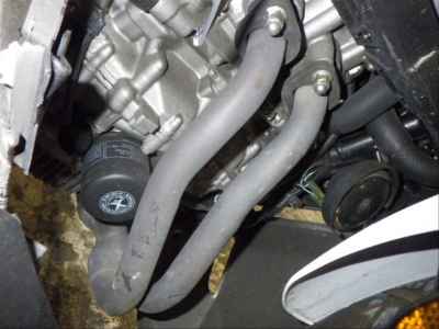 Honda CBR250RR 2023