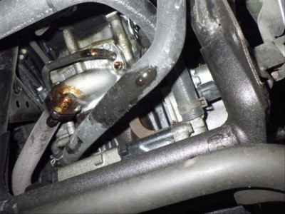 Honda Forza Z 2007