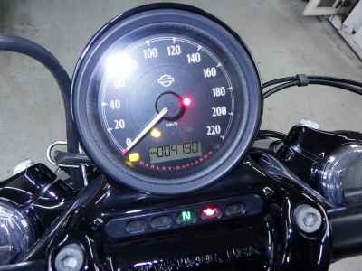 Harley-Davidson Sportster Forty-Eight XL1200X 2020