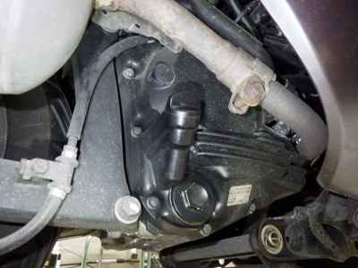 Honda Forza Z 2005