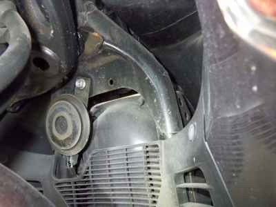 Honda Forza Z 2005