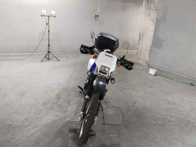 Suzuki DR250R