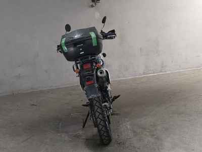 Suzuki DR250R