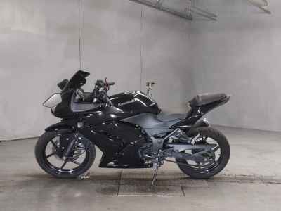 Kawasaki Ninja 250R