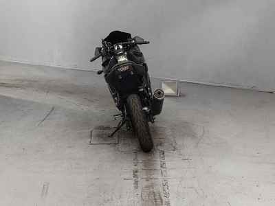 Kawasaki Ninja 250R