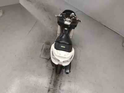 Honda Forza Z