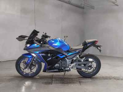Kawasaki Ninja 250
