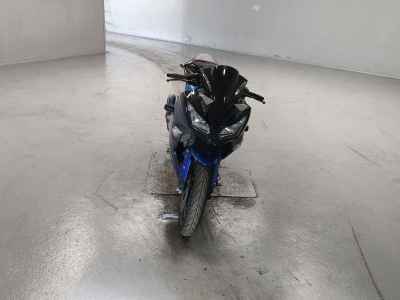 Kawasaki Ninja 250
