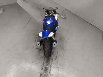 Suzuki GSX-R1000 2007