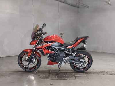 Kawasaki Z250SL 2015