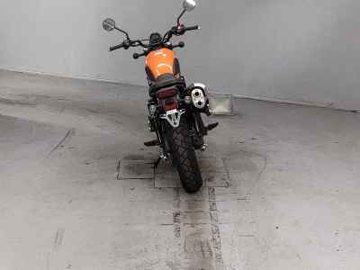 Honda CL250 2023