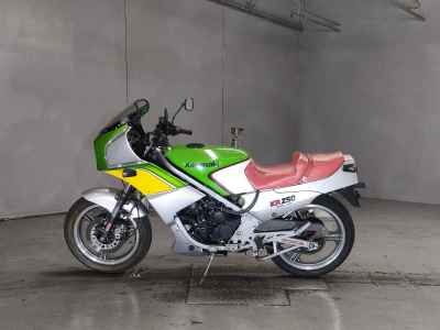 Kawasaki KR250