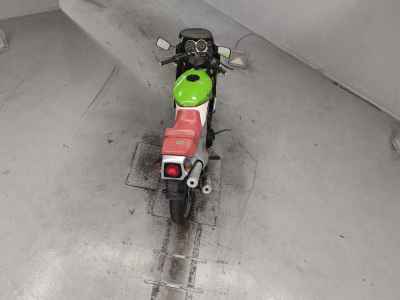 Kawasaki KR250