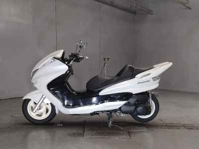 Yamaha Majesty 250C