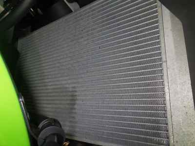 Kawasaki Ninja ZX-4RR 2024