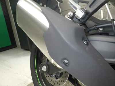 Kawasaki Ninja ZX-4RR 2024