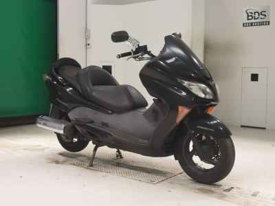 Honda Forza Z 2006