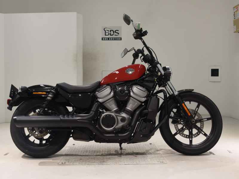 Harley-Davidson Nightster RH975 2024