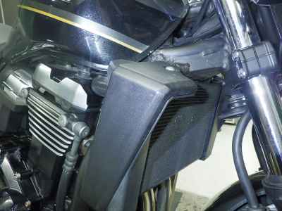 Kawasaki ZRX1200 Daeg 2009