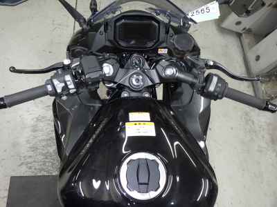 Kawasaki Ninja 1100SX 2025