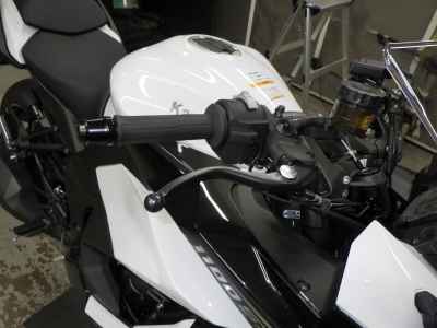 Kawasaki Ninja 1100SX 2025
